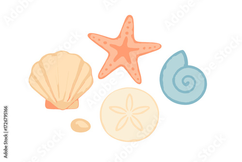 Vibrant assortment of colorful marine life elements including scallop shell, starfish, sand dollar, and conch shell