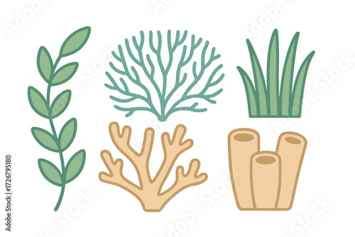 Stylized collection of diverse marine plants, seaweed, and coral reef elements presented in a clean graphic design, ideal for various aquatic and underwater themes