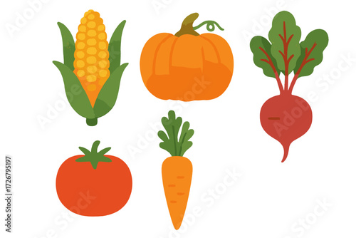 Colorful autumn harvest vegetables including corn pumpkin beet tomato and carrot for healthy eating and cooking