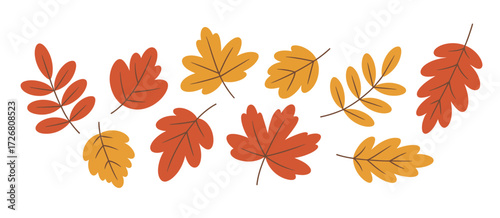 Collection of colorful autumn leaves in warm fall colors