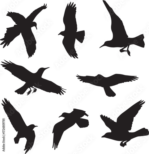 Set of eight black bird silhouettes in dynamic flying and landing poses on a white background bird of prey