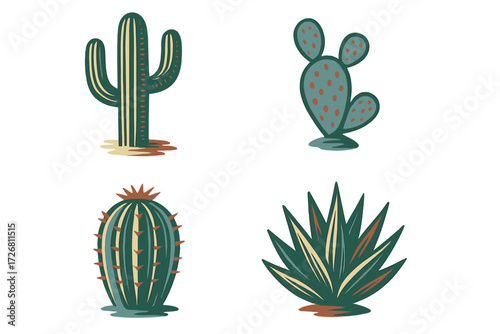 Colorful illustration of different cactus varieties in a modern, flat design style on a white background