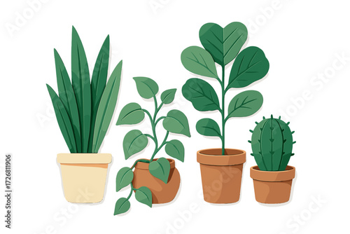 Various green plants displayed in simple terracotta and cream pots for a fresh indoor decor