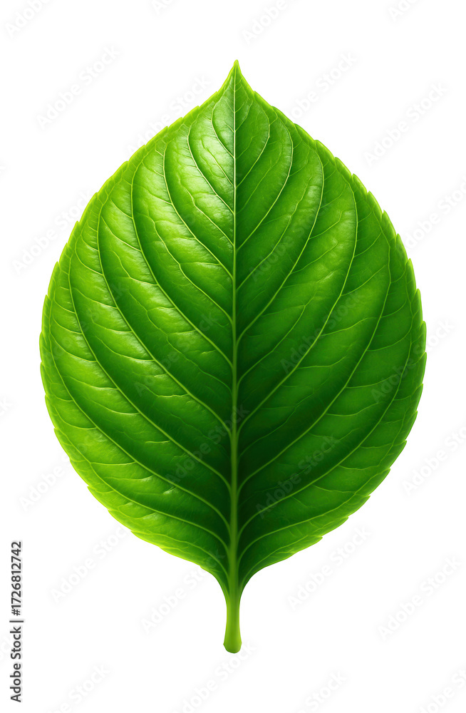 Obraz premium Vibrant green 3D-rendered leaf symbolizing nature and growth.