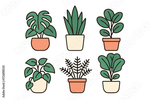 Decorative indoor plants in stylish pots for home decor and gardening enthusiasts