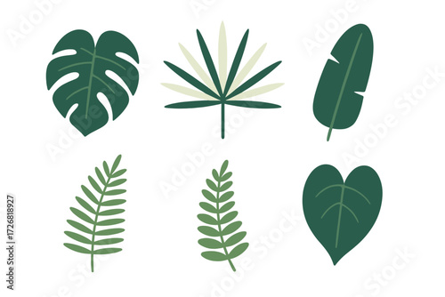 Different types of leaves displayed in a simple, modern design perfect for nature enthusiasts and interior decor