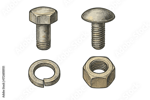 Various types of metal fasteners including bolts, screws, nuts, and washers arranged neatly on a white background
