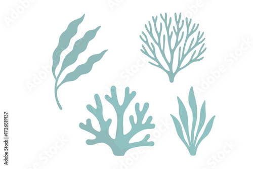 Decorative seaweed and coral designs in soft teal colors for creative projects and ocean-themed decor