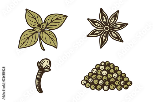 Collection of herb illustrations showing basil leaves, star anise flower, nutmeg seed, and a pile of green peppercorns