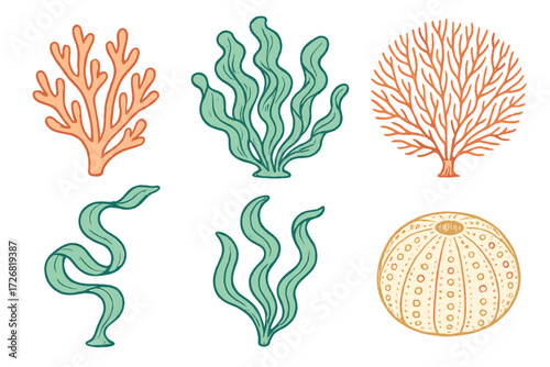 Colorful coral and seaweed illustrations featuring various marine life in a playful and artistic style