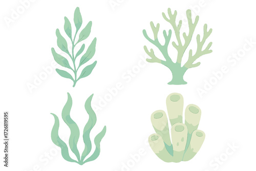 Aquatic plant illustrations showcasing seaweed and coral in a soft color palette