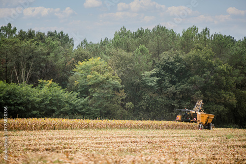 Combine harvester harvesting corncobs.