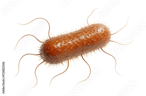 3D render of Escherichia coli bacteria.