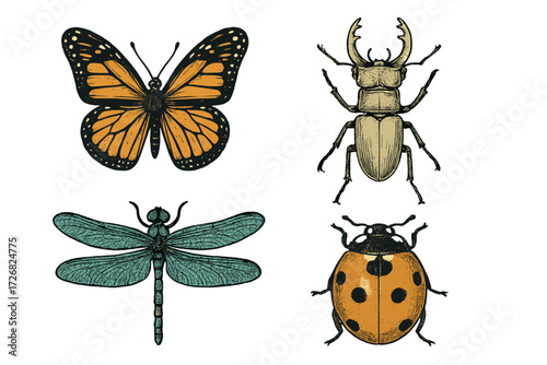 Collection of illustrated insects featuring a butterfly, beetle, dragonfly, and ladybug in detailed art style
