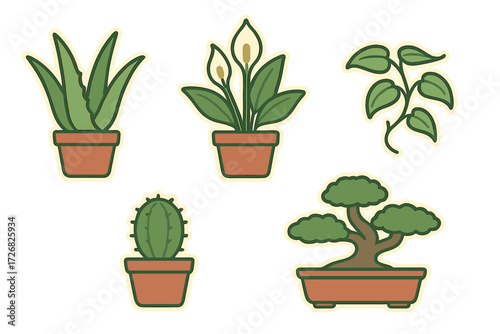 Collection of indoor plants in pots showcasing a variety of shapes and sizes for home decor inspiration