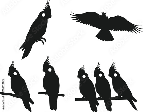 Cockatoo and raptor silhouette vector set, perched and flying poses, black shapes with crest and wings, nature artwork for wildlife and design