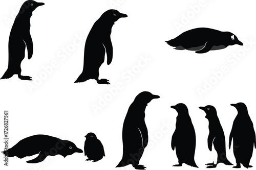 Penguin bird silhouette vector set, standing, lying, and social poses, black shapes with chick detail, nature artwork for wildlife, decor, and design