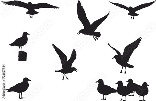 Seagull bird silhouette vector set, flying, perched, and standing poses, black shapes with wing and beak detail, nature artwork for wildlife and design