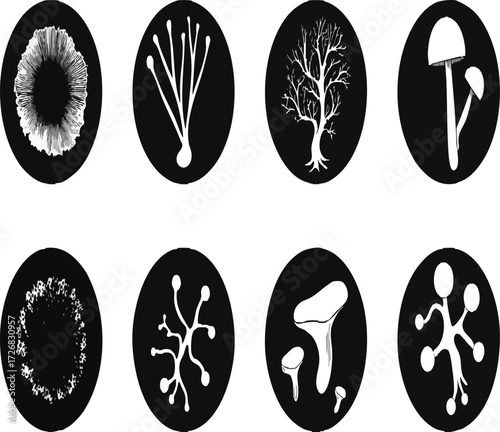 Vector art of collection of seedling icons, vector illustration