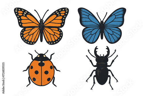 Colorful illustrations of butterflies and insects featuring Monarch, Blue Morpho, ladybug, and stag beetle
