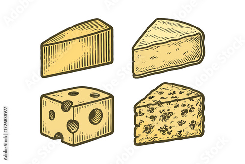 Cheese varieties displayed in detailed illustrations with distinct textures and shapes
