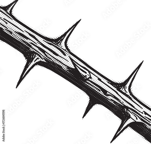 Black and white illustration of a thorny branch plant nature