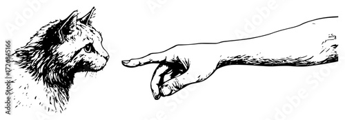Vintage engraving of hand reaching toward curious fox head – symbolic human-animal connection sketch illustration