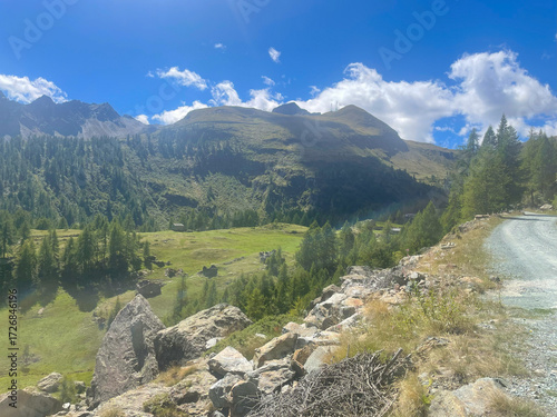 Scenic mountain trail in the Mont Avic Natural Park near Champorcher, Aosta Valley, Italy. A gravel road winds through a forested alpine landscape, flanked by rocky slopes and grassy meadows.