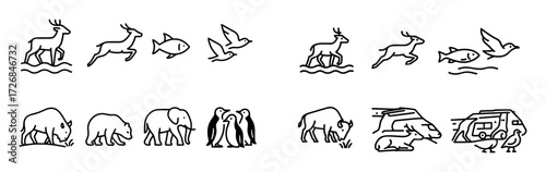 Animal Migration Icons
