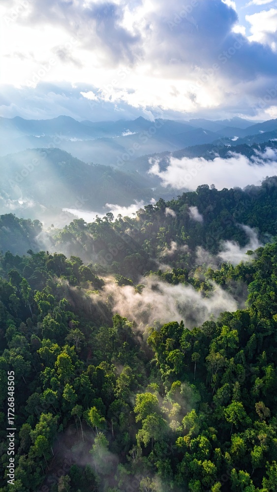 Fototapeta premium Misty mountain range with lush green forests. Sunlight filters through clouds