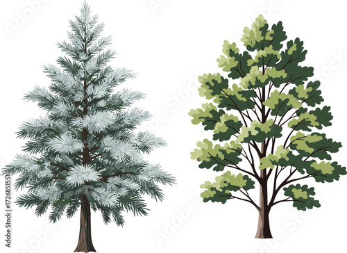 Coniferous and deciduous tree illustration, cartoon nature artwork, seasonal foliage, green leaves, needle tree, forest concept, botanical design, stock image, stylized flora