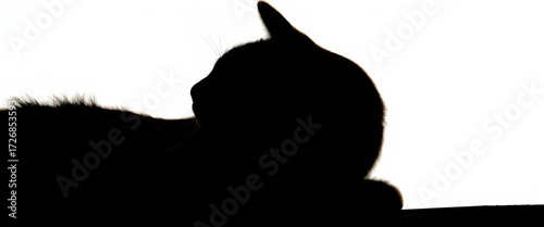 Relaxed cat silhouette, head turned, languid pose,  serene,  silhouette