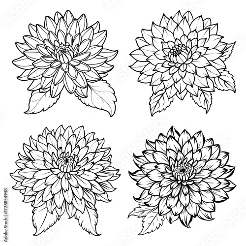 A Set of Four Black and White Chrysanthemum Flower Illustrations, Featuring Detailed Blossoms and Leaves in a Simple Line Art Style, Perfect for Coloring Books and Botanical Designs.