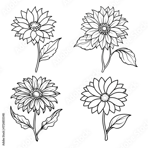 A Set of Four Black and White Flower Illustrations, Featuring Dahlias, Daisies, and Chrysanthemums in a Detailed Line Art Style, Perfect for Coloring Books and Botanical Designs