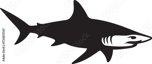 Shark silhouette with gills and eye details, Detailed shark vector illustration
