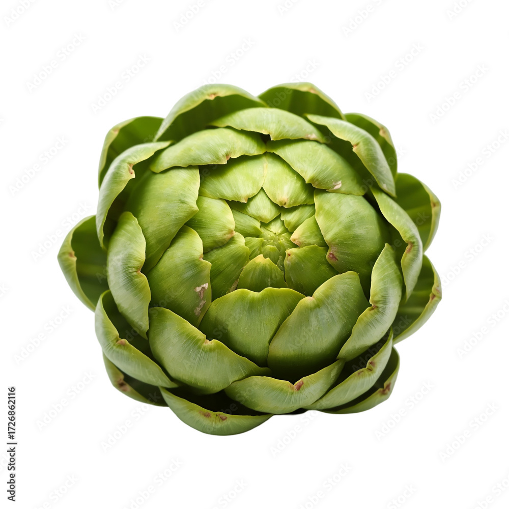 Obraz premium artichoke isolated on white background