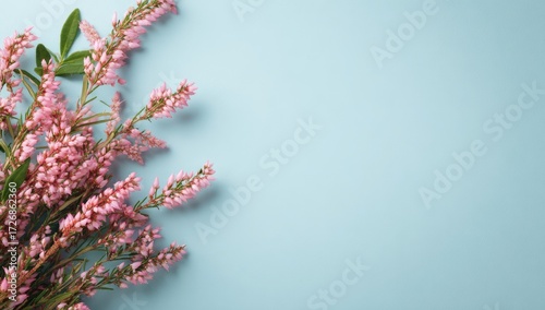 Pink flowers on light blue background