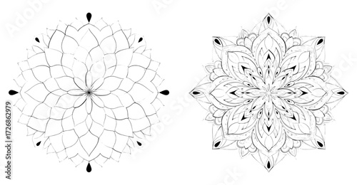 Vector art of two intricate mandala designs featuring floral and geometric elements, creating a symmetrical and balanced composition