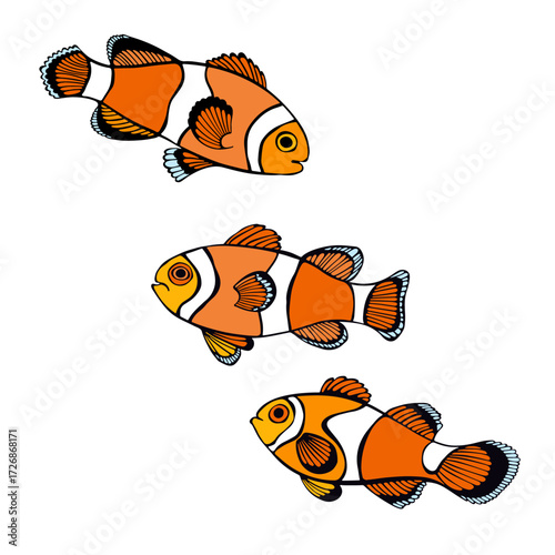 Clownfish. Vector isolated color elements for design. Perfect for menu decoration, invitation, card, poster and as a design element.