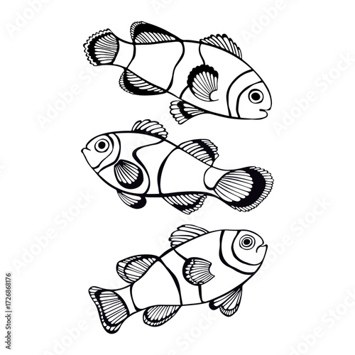 Clownfish. Vector isolated elements for design. Black outline characters on white. Perfect for menu decoration, invitation, card, poster and as a design element.
