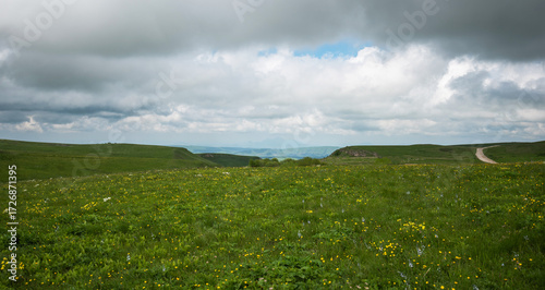 Expansive green meadow peppered with yellow flowers under a cloudy sky, with a distant mountain range and a solitary winding road on the right, depicting a tranquil, natural landscape