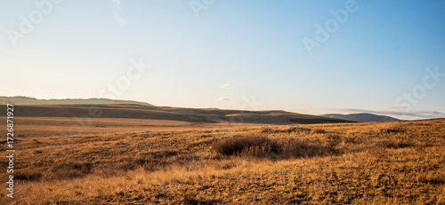 Expansive golden grassland with rolling hills under a clear sky at sunset, conveying a sense of vast open space and tranquility