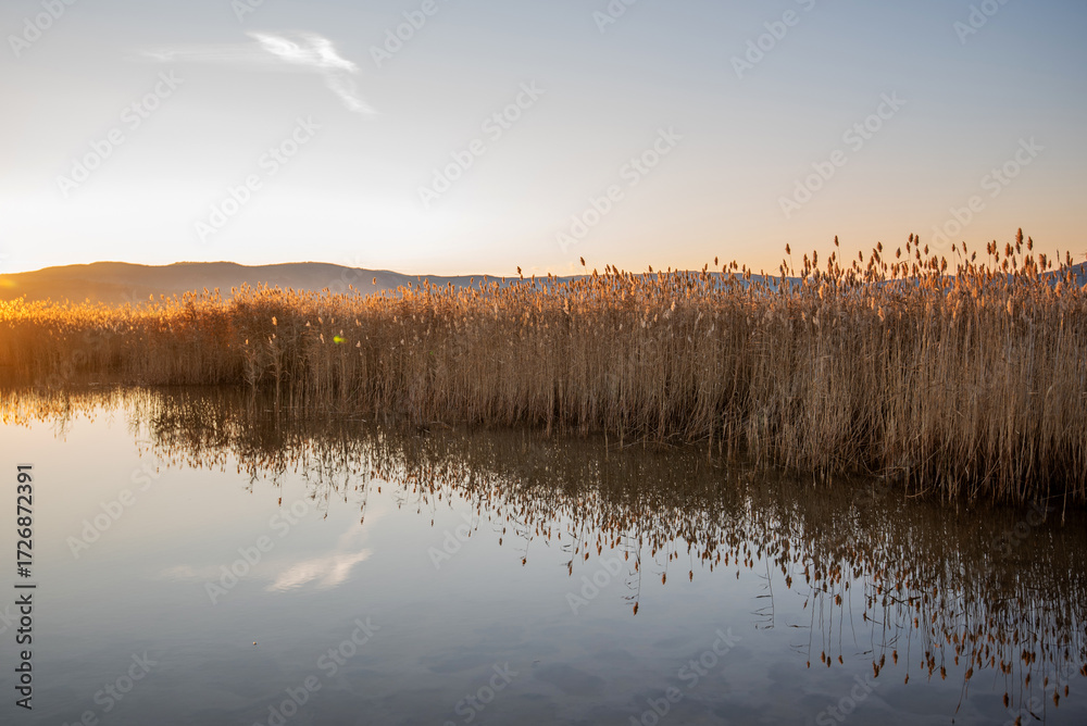 Fototapeta premium As the sun sets, its golden glow reflects off a tranquil lake and illuminates the reeds, creating a serene scene at the water's edge with distant mountains silhouetted against the vibrant sky