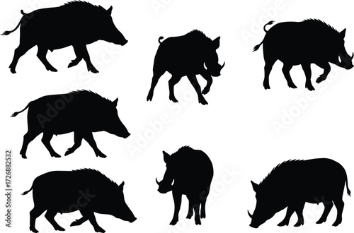 Wild boar silhouette collection, walking, standing, running, animal wildlife vector, hunting design, forest creature, black pig shapes, rustic artwork