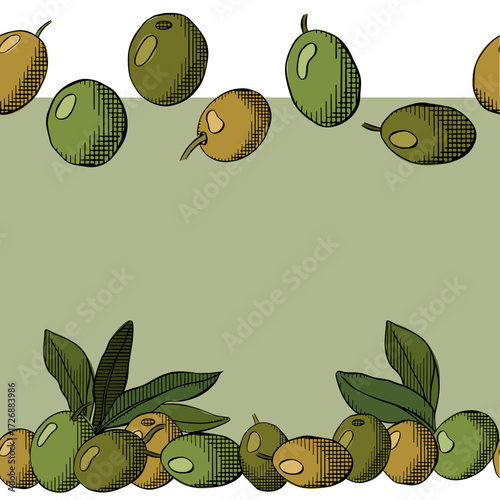 Olive berry with leaves seamless border horizontal frame template. Vector graphic line ink colored illustration. Mediterranean Vintage packaging design for fabric, kitchen textile, packaging prints
