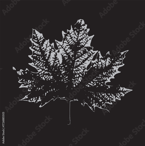 plane tree leaf vector icon background leaf