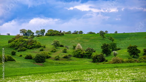 Idyllische Landschaft mit blauem Himmel und grünen Pflanzen im Sommer 