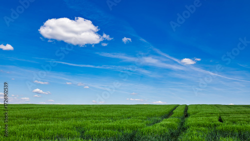 Idyllische Landschaft mit blauem Himmel und grünen Pflanzen im Sommer 