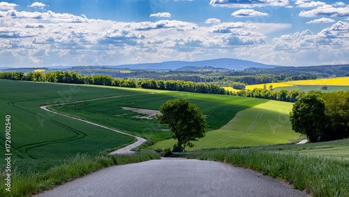 Idyllische Landschaft mit blauem Himmel und grünen Pflanzen im Sommer 