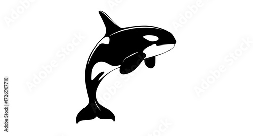 a black and white silhouette of a killer whale jumpinganimal, black, dolphin, grampus, illustration, image, jump, logo, profile, whale 